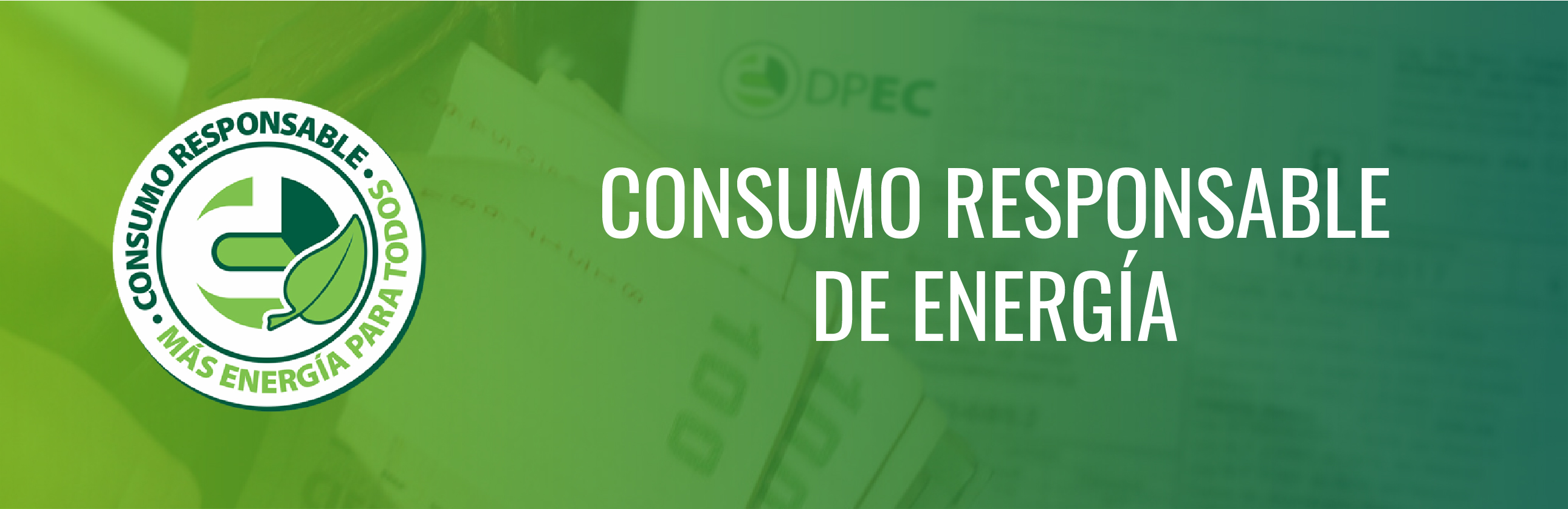 Factura online DPEC